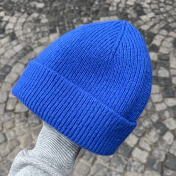 Bleu roi